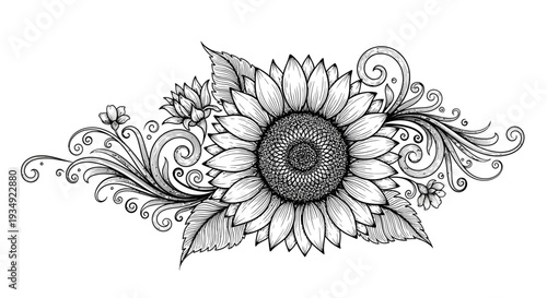 Detailed sunflower illustration with decorative swirls and leaves