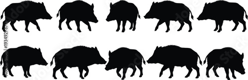 Collection of Wild Boar Silhouettes in Various Walking Poses Isolated on White Background, Black Feral Hog and Pig Wildlife Illustration Set High Resolution Clipart