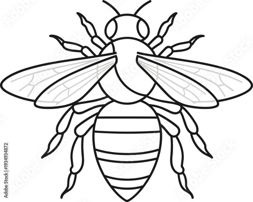 Vector illustration of a bee and wasp insect in cartoon style isolated on white background