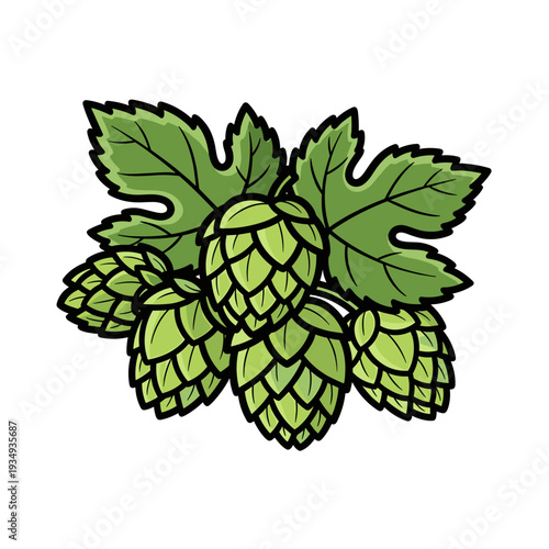 Hop cones cluster with leaves in bold graphic vector illustration, flat vibrant colors for brewing and botanical design