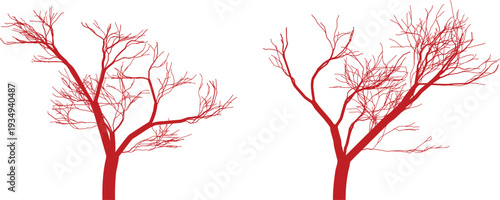 Two striking leafless red trees with intricate branches standing isolated on a bright white surface