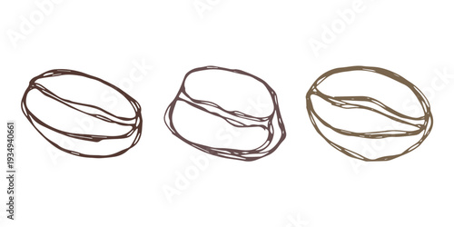 Set of hand drawn fresh roasted coffee bean Arabica robusta seed doodle Single element for design print packaging label decor