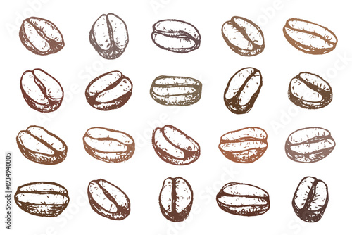 Set of hand drawn fresh roasted coffee bean Arabica robusta seed doodle Single element for design print packaging label decor