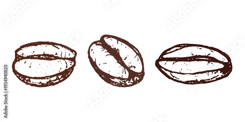 Set of hand drawn fresh roasted coffee bean Arabica robusta seed doodle Single element for design print packaging label decor