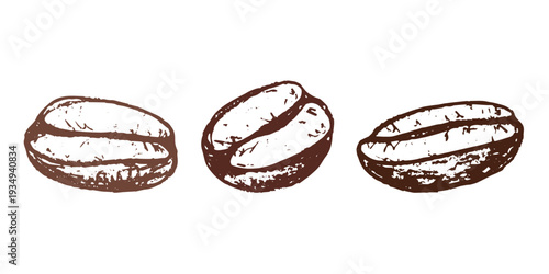 Set of hand drawn fresh roasted coffee bean Arabica robusta seed doodle Single element for design print packaging label decor