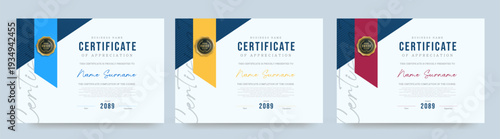 Elegant certificate diploma template with clean layout suitable for award appreciation completion or achievement in education or corporate use