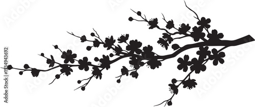 Black silhouette of a blooming cherry blossom tree branch