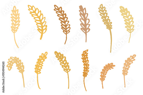 Set of hand drawn cereal wheat oat rye barley rice ears spikelet clipart Organic wheat bread agriculture farming harvest healthy food Single element for design print packaging label decor