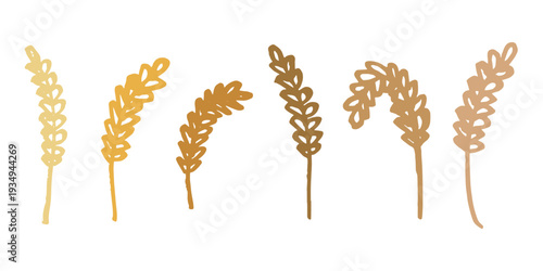 Set of hand drawn cereal wheat oat rye barley rice ears spikelet clipart Organic wheat bread agriculture farming harvest healthy food Single element for design print packaging label decor