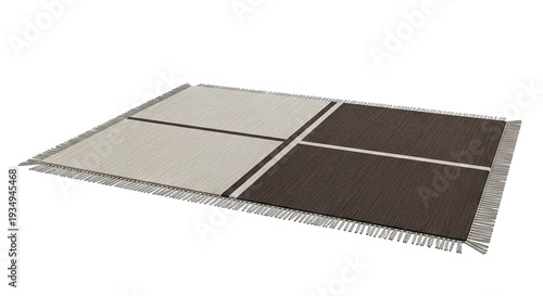 Geometric Area Rug with Fringes in Beige and Brown