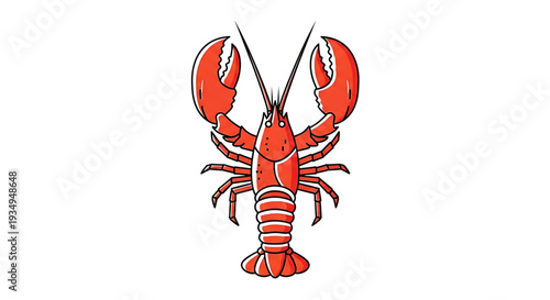 Illustration of a bright red lobster with large claws open, facing forward on a white background