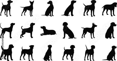 Silhouettes of diverse dog breeds, standing, sitting, lying poses, pet illustration design highlighting canine variety, animal shapes and characteristics