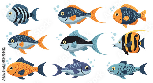 Diverse collection of colorful tropical fish swimming in the water for professional aquarium and marine life themes.