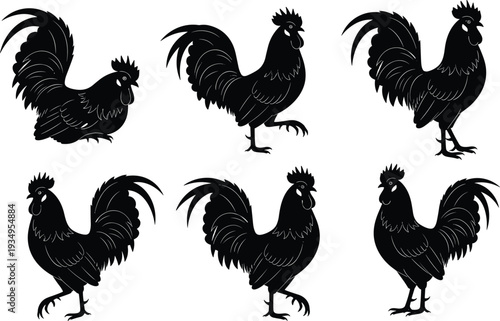 Rooster, Silhouette, Vector, Illustration, Chicken, Poultry, Farm, Animal, Set, Bird, Livestock, Agriculture, Graphic, Icon, Black, Isolated, Rural, Nature, Cockerel, Crowing