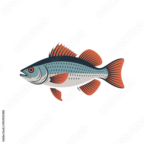 Colorful fish with orange fins and blue body isolated