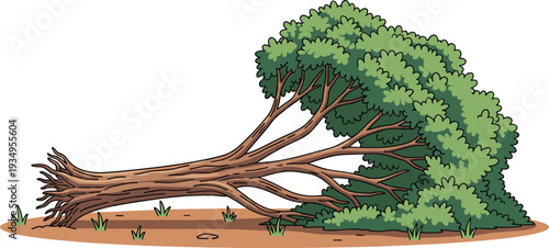 Flat vector illustration of a large green deciduous tree fallen on the ground with exposed roots after a storm or environmental disaster.