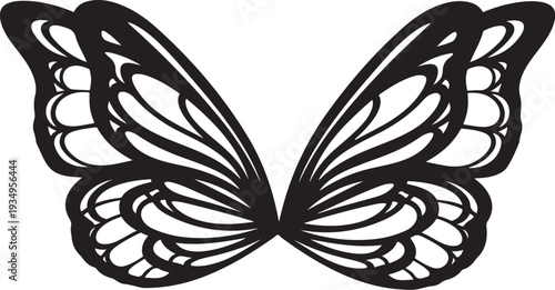 Black Butterfly Silhouette with White Background Wings Spread Wide