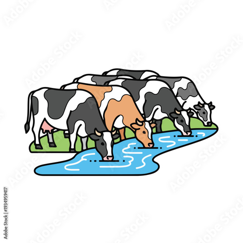Cows drinking from a stream