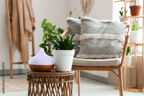 Air humidifier with plant o...