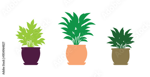 Houseplant in a pot, decorative flowerpot set, simple home plant vector illustration.