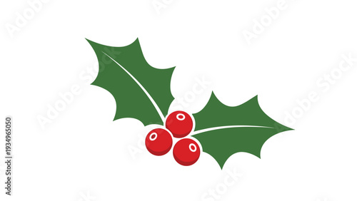 Traditional Christmas holly branch with three bright red berries and two dark green spiky leaves isolated on a white background.