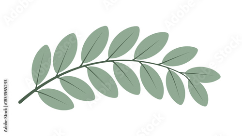 Simple illustration of a curved branch with multiple oval leaves in a muted sage green color isolated on a white background.