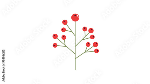 Stylized botanical illustration of a slender green branch with multiple small round red berries or fruits against a white background.