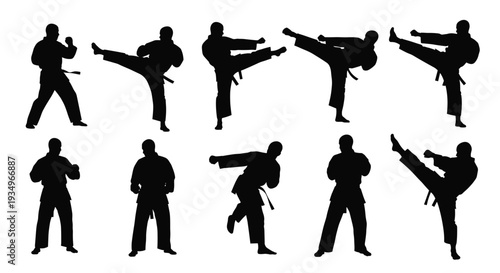 Silhouettes of people practicing various martial arts poses and movements, Generative AI.