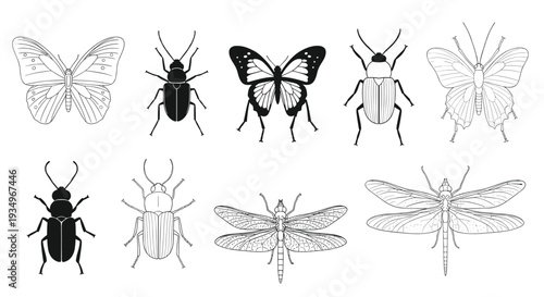 Collection of various insects including beetles and butterflies in black and white, Generative AI.