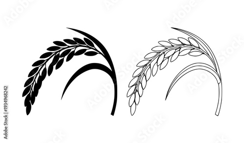 Rice Spikelet Cartoon and Outline Vector Paddy Rice Ear Isolated on White