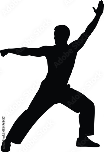 Man in martial arts pose silhouette, fighter performing dynamic stance isolated black vector illustration on white background