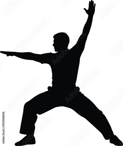 Man performing martial arts stance silhouette, dynamic fighter pose isolated black vector illustration on white background