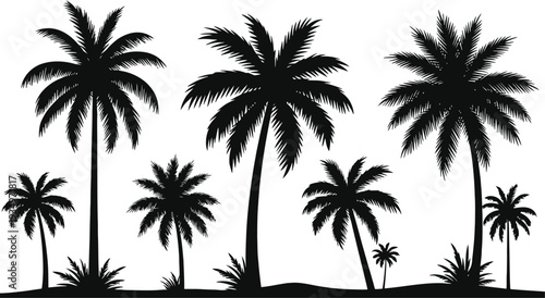 Set of 8 black palm tree silhouettes vector