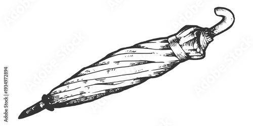 Umbrella illustration. Hand drawn engraving vector style.
