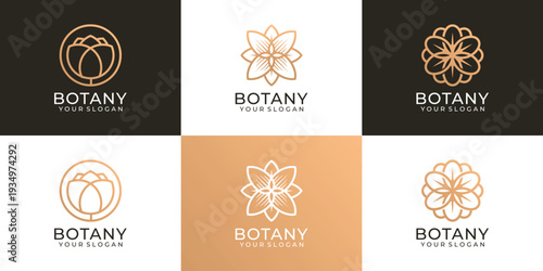 Set of nature botany beauty flower feminine logo vector