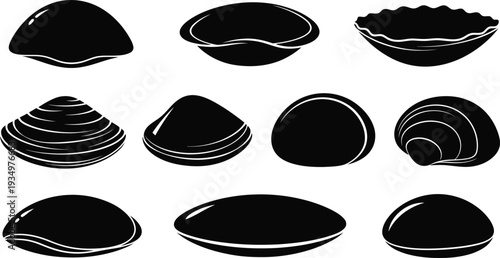 Collection of black seashell illustrations on white background