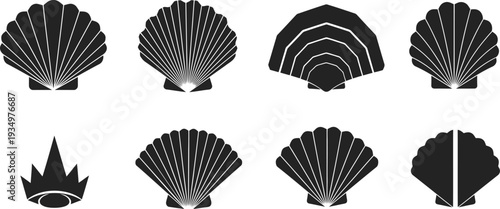 Collection of modern scallop shell icons in black and white