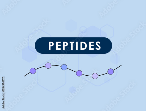 Peptide chain structure, amino acid sequence, protein building block, biochemistry molecule diagram, collagen synthesis process, skincare anti-aging compound, modern flat design, vector illustration