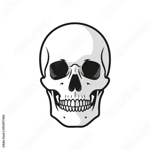 Illustration of a human skull with a friendly smile