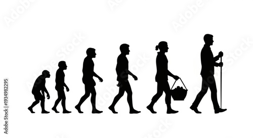 Human evolution from ape to modern adult silhouette illustration walking daily life aging growth concept