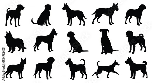 Collection of various dog silhouettes in different poses on white background