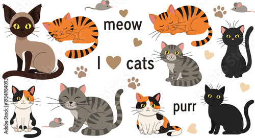 Cute Cat Collection with Different Breeds, Meow Text, and Paw Prints Cartoon Illustration