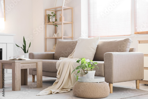 Interior of light living ro...