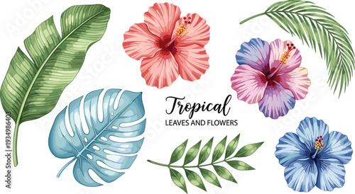 Tropical Leaves and Hibiscus Flowers for Exotic, Summer, and Nature-Themed Designs