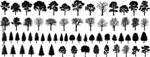 Comprehensive Tree Silhouette Vector Set Featuring Deciduous and Conifer Forest Types Isolated on White for Landscape Architecture Design