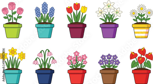 Colorful spring flowers in pots collection with tulips lilies daisies hyacinths daffodils and decorative houseplants vector illustration
