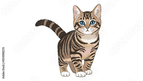 Cute brown tabby kitten with blue eyes and a striped tail is standing and looking forward on a white background.