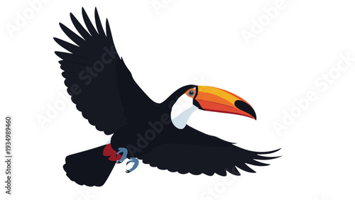 Colorful toucan bird in mid-flight with its large black wings spread wide and its signature bright orange and red beak prominently displayed.