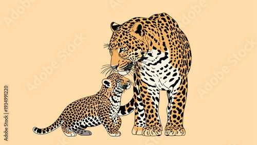 Beautiful hand drawn illustration of an adult leopard standing protectively over its small spotted cub in a simple style.