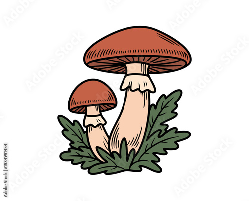A vector illustration of two mushrooms growing in green leaves on a white background